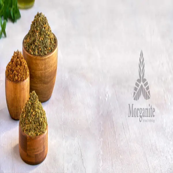 مؤسسة مورجانيت لتكنولوجيا الغذاء
